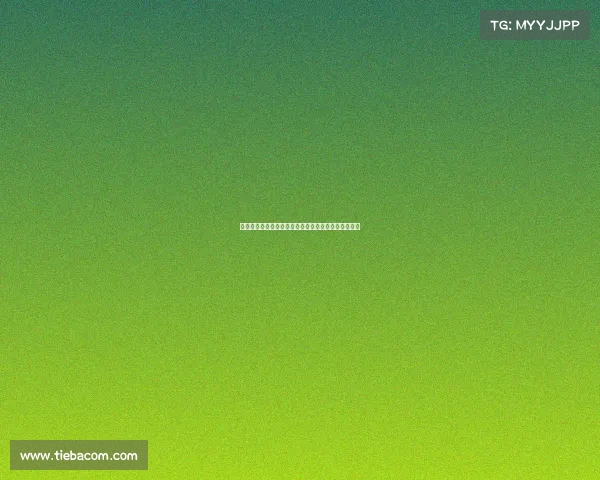 汇跑赛事总监引领卓越赛事打造跑步盛典幕后核心力量 汇跑赛事总监引领卓越赛事打造跑步盛典幕后核心力量