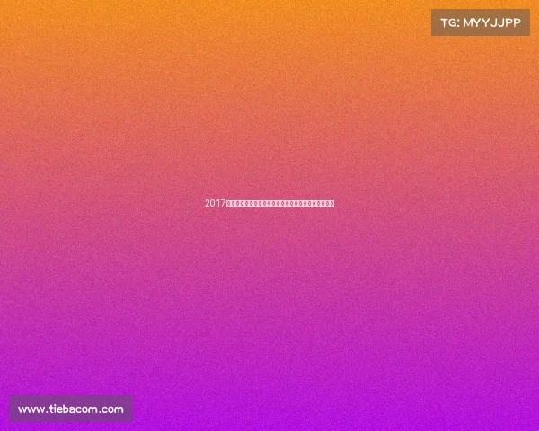 2017年上海魔方锦标赛盛大开幕全球高手激烈角逐荣耀时刻